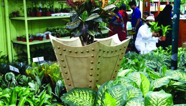 The demand for various kinds of plants, saplings and seeds has witnessed a big jump, according to nursery operators. PICTURE: Jayaram