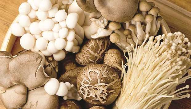 HEALTHIER: Protein-rich mushrooms can replace meat to satiate appetite for longer times.