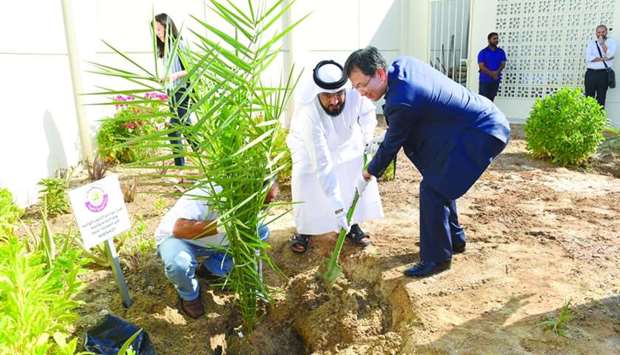 South Korean ambassador Park Heung-kyeong and the MME's Agriculture Research Department director Massoud Jarallah al-Marri plant a date palm