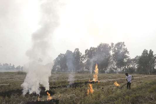 A farmer burns paddy stubble in a field on the outskirts of Jalandhar in Punjab yesterday. Delhi experiences suffocating smog every year around Diwali when farmers in north India burn the stubble left behind after the harvest and revellers let off smoke-spewing firecrackers.
