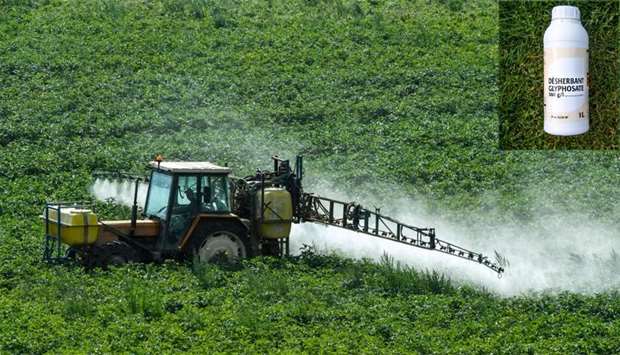 A farmer spraying phytosanitary products (herbicides, fungicides, insecticides) in a field. (inset) 