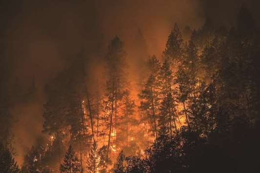 Wildfire creeps through the forest, down the south side of Dry Creek Canyon, at the Partrick Fire, California, on October 12.