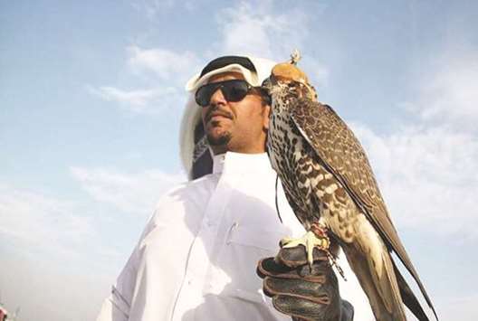 The pre-hunting season falcon championship, is set to be held from November 1 to 4.