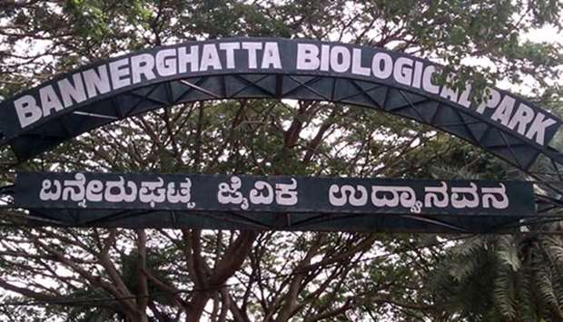 The incident happened at Bannerghatta Biological Park.