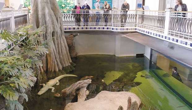 ATTRACTIONS: A snow-white albino crocodile is one of the main attractions at the California Academy of Sciences.