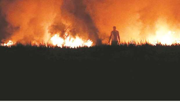 A farmer burns the stubble in a rice field in Karnal in the northern state of Haryana. After last yearu2019s crisis, the government introduced some measures aimed at curbing the crop fires, in particular offering to pay up to 80% of certain farm equipment, such as a Straw Management System (SMS) that attaches to a harvester and shreds the residue.