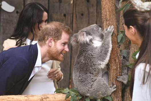 Britainu2019s Prince Harry, the Duke of Sussex, and his wife Meghan, the Duchess of Sussex, are seen meeting Ruby, a mother koala who gave birth to koala joey Meghan, named after the Duchess, with a second joey named Harry, during a visit to Taronga Zoo in Sydney, Australia.
