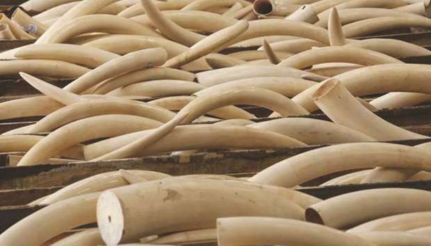 Data indicate that wildlife traffickers moving ivory, rhino horn, reptiles, birds, pangolins, marine products, and mammals by air tend to rely on large hub airports in many parts of the world.