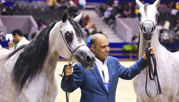 Al Shaqabu2019s Breeding and Show manager Sheikh Hamad bin Ali al-Thani with two of the horses that won gold at the Morocco International Purebred Arabian Horse Show, part of the Salon du Cheval, in El Jadida