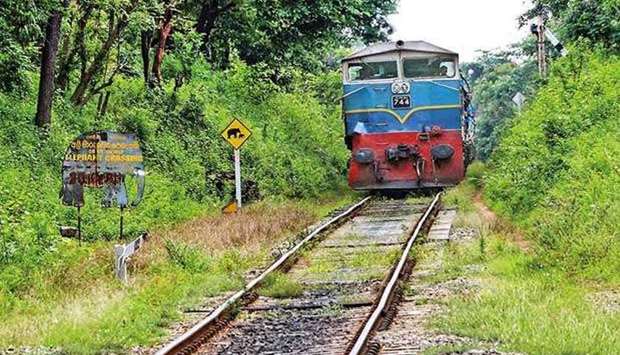 Speed restrictions are imposed on trains passing through elephant habitats but these are difficult to enforce.
