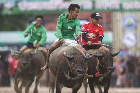 Jockeys compete in the annual buffalo race festival in Chonburi province of Thailand yesterday.