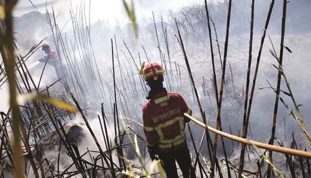 Firefighters work in the aftermath of Sintra mountain wildfire in Cascais, Portugal.
