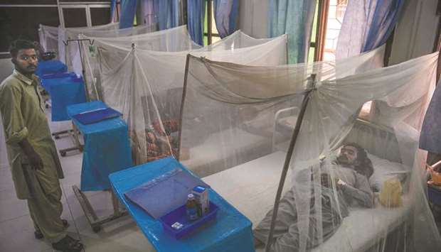 Patients suffering from dengue fever rest on beds under nets at a government hospital in Karachi.