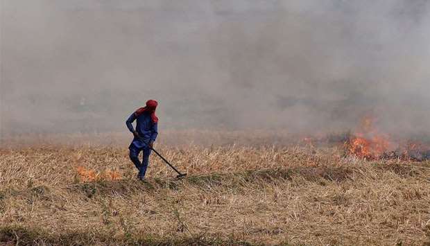 A farmer burns the stubble in a rice field