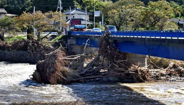 Damaged trees move along a flooded river after heavy rain in Iwaki city, Fukushima
