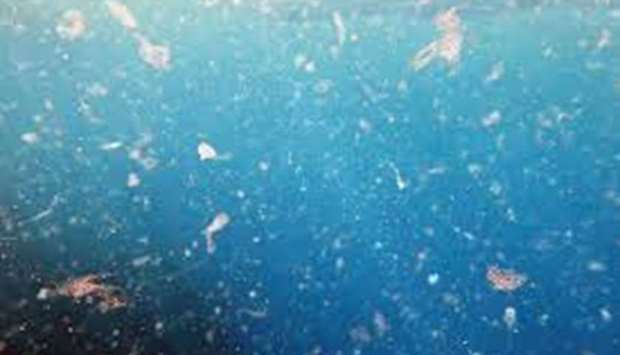 The scientists, who published their findings in peer-reviewed journal Frontiers in Marine Science, said areas with more floating rubbish generally had more microplastic fragments on the sea floor.