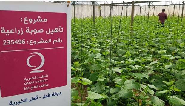 Qatar Charity supports farmers, implements qualitative agricultural and livestock projects, and distributes foodstuffs to IDPs, refugees and the poor, in addition to expanding partnerships with UN organisations to contribute to addressing food shortage.