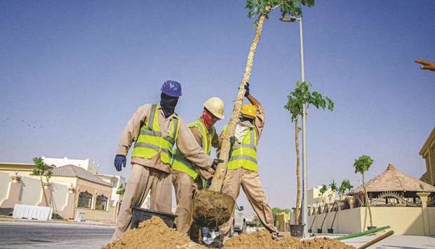 Ashghal tweeted that 45 trees will be planted by the end of October while developing 646sqm of green areas along with irrigation lines.