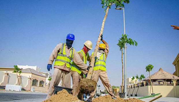 The works will continue until the end of October to plant 45 trees, setup 646 sqm of green area, along with irrigation lines, Ashghal said.