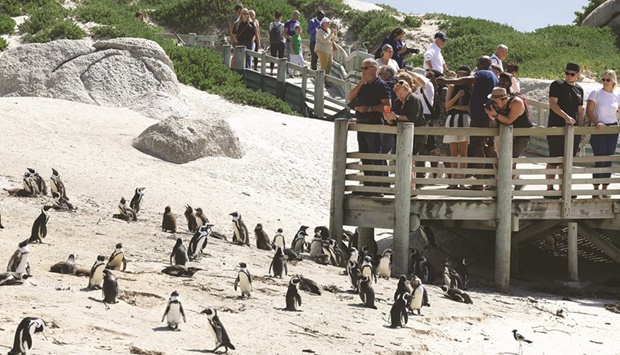 Visitors stand at a viewing point at Cape Townu2019s famous Boulders penguin colony, a popular tourist attraction and an important breeding site for African penguins in South Africa.