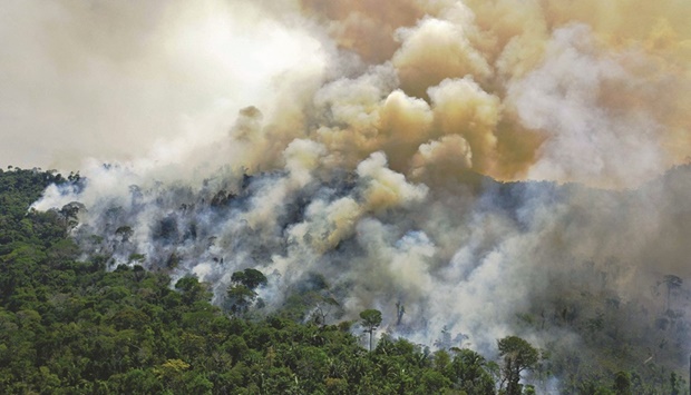 An aerial view of a burning area of Amazon rainforest reserve, south of Novo Progresso in Para state, Brazil (file). The long-term ramifications of a depleted natural world are potentially devastating.