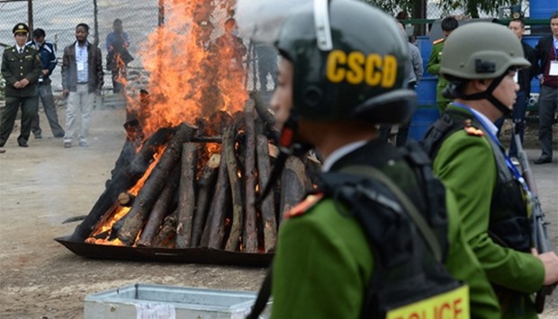 Seized rhinoceros horns are burned as policemen stand guard