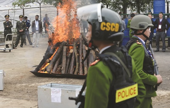 Seized rhinoceros horns are burned as policemen stand guard nearby in the suburbs of Hanoi yesterday.