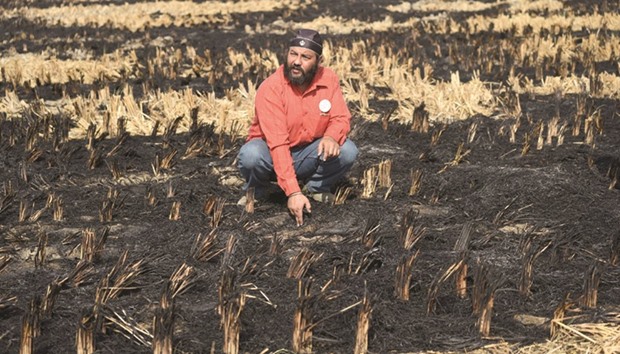 Farmer Harpeet Singh sits amidst burnt stubble in his field at Karnal. While there are multiple factors behind New Delhiu2019s status as the worldu2019s most polluted capital, much of the latest bout of smog has been blamed on the illegal but widespread practice among farmers of burning crop stubble.