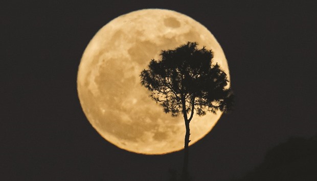 A tree is silhouetted as a u201csupermoonu201d rises over Heho, Myanmaru2019s Shan state.