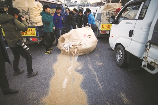 Farmers scatter rice bran yesterday while heading with their trucks toward Seoul for a weekend protest to call for President Parku2019s resignation, at a tollgate in Ansung, South Korea.