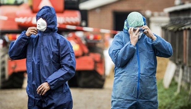 Dutch workers in protective gear get ready to cull ducks as part of prevention measures against bird flu at a duck farm in Hierden late last year.