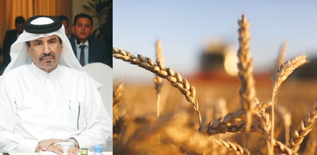 Al-Kuwari: Grain hub to be located at Hamad Port. PICTURE: Jayaram Right: Sunlight illuminates wheat kernels during the summer harvest on a farm in Ust-Labinsk,  Russia. Discussions are ongoing to transform Qatar into an export hub for grain from Russia to address food security issues in the region.