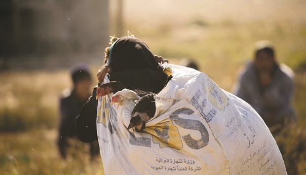 A displaced woman who fled Hammam al-Alil, south of Mosul, carries a bag of ducks while heading to safer territory in Iraq yesterday.