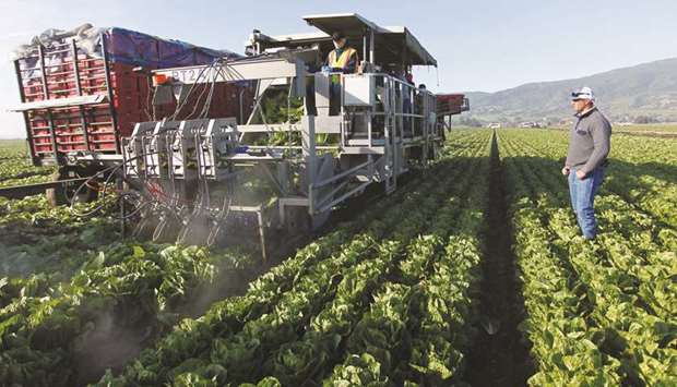 Farmers automate as illegal labour dries up