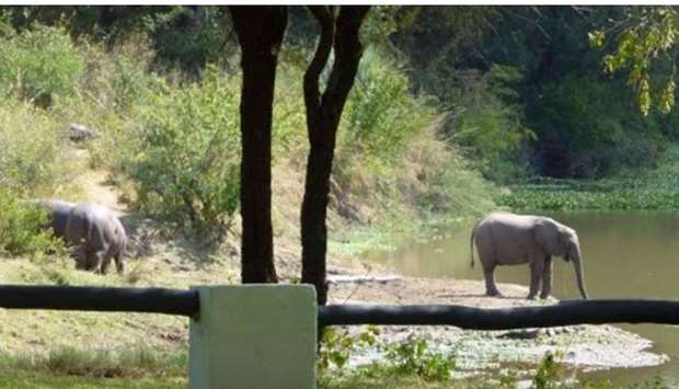 Elephants seen near Maramba River Lodge