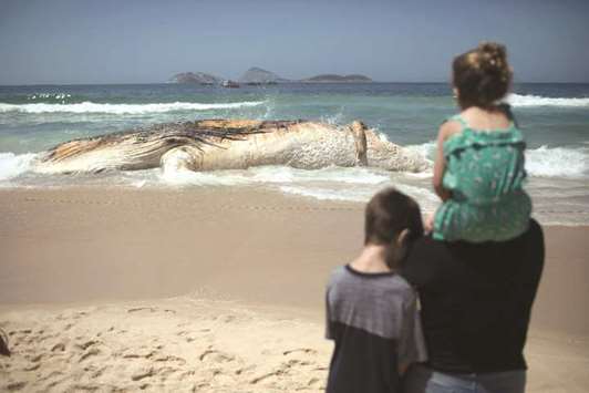 People watch a 12-metre whale that was found dead at Ipanema beach in Rio de Janeiro, Brazil.