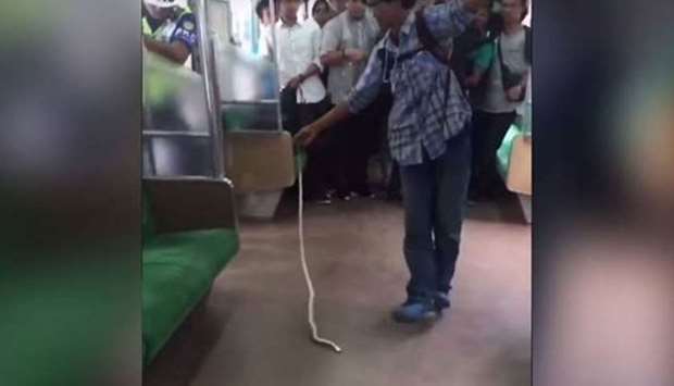 A screengrab of a video shows the man casually snatch the snake's tail. Picture: Instagram