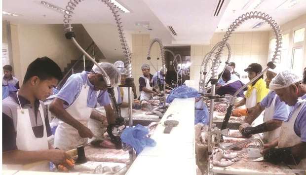 Umm Salal market offers cleaning services for the fish at very low fees