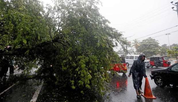 A man places a cone near a tree that fell down due to bad weather in Colombo