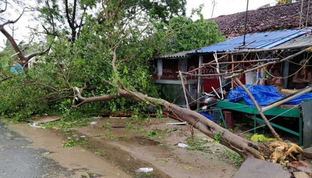 The aftermath of cyclone Gaja is seen in Tamil Nadu, India