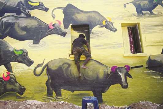 An artist from Ram Sutar Art Creations climbs onto a window while working on a mural of buffaloes on a wall at Railway Colony, created as part of the ongoing u2018Paint My Cityu2019 project for the upcoming Kumbh Mela festival, in Allahabad yesterday.