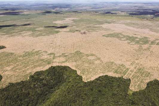 A file picture of deforestation in the Maranh?o state of Brazil. Imazon, a Brazilian NGO, has reported 444sq km of clearing this past September, an 84% increase over September 2017. PICTURE COURTESY: Felipe Werneck - Ascom/Ibama (Photograph sourced from Wikipedia)