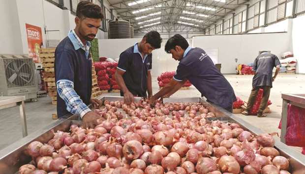 Workers of a retail chain sort onions at Manchar village in Pune. The government plans to keep a ban on onion exports until February.
