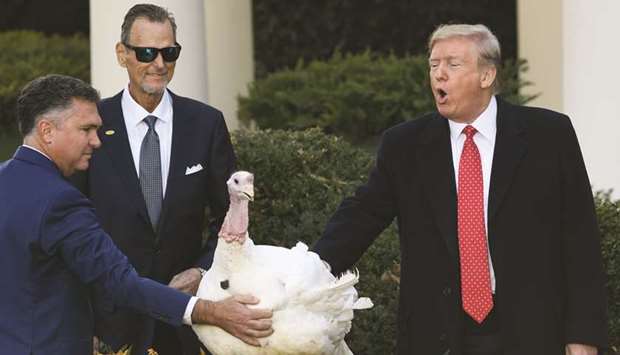 President Donald Trump pardons the National Thanksgiving turkey during a ceremony in the Rose Garden of the White House in Washington on Tuesday.