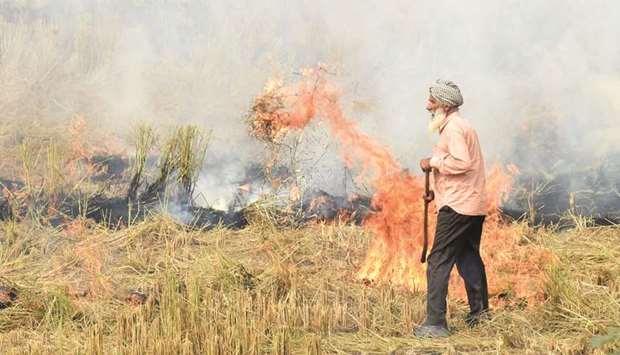A farmer burns straw stubble after harvesting paddy crops in a field at a village near Sultanpur Lodhi.