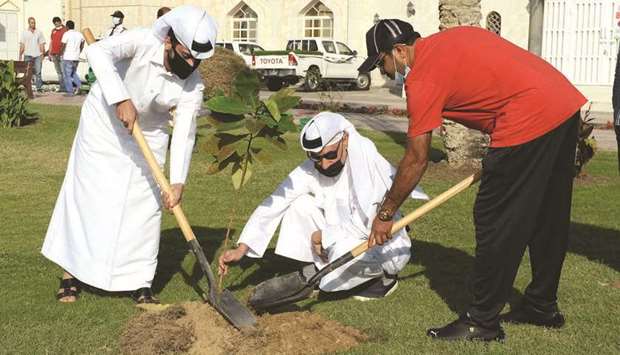 Tree planting at the Old Airport park.
