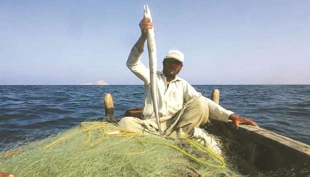 SPOTLIGHT: Fishing provides employment to 600,000 people in Sindh province, according to Sindh Fisheries Departmentu2019s director, Aslam Jarwar.