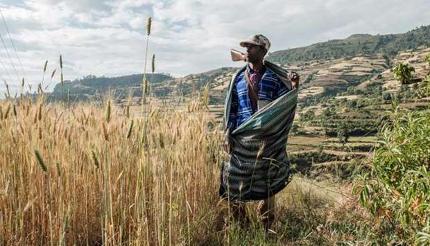 Zeleke Alabachew, farmer and militia fighter, poses in his land near the village of Tekeldengy, northwest of Gondar, Ethiopia. Ethiopia's military announced this week it had ,entered into a war, with the northern region of Tigray, leading to fears of a protracted conflict in Africa's second most populous nation.