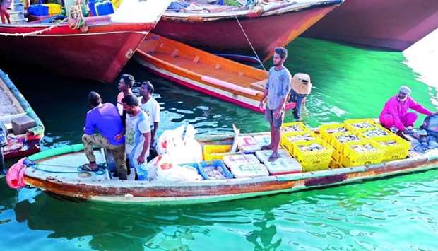 The Ministry of Municipality will be giving the local fishermen subsidies and support to the tune of QR29.7mn until 2023 in the form of fuel and crushed ice, local Arabic daily Arrayah reported.