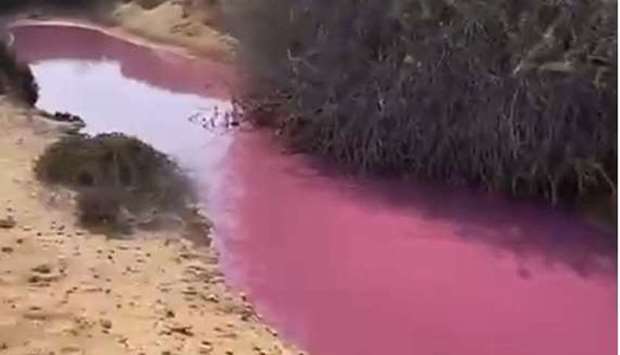 The pink coloured water in the stream. Image courtesy of @mohamdalfayyad